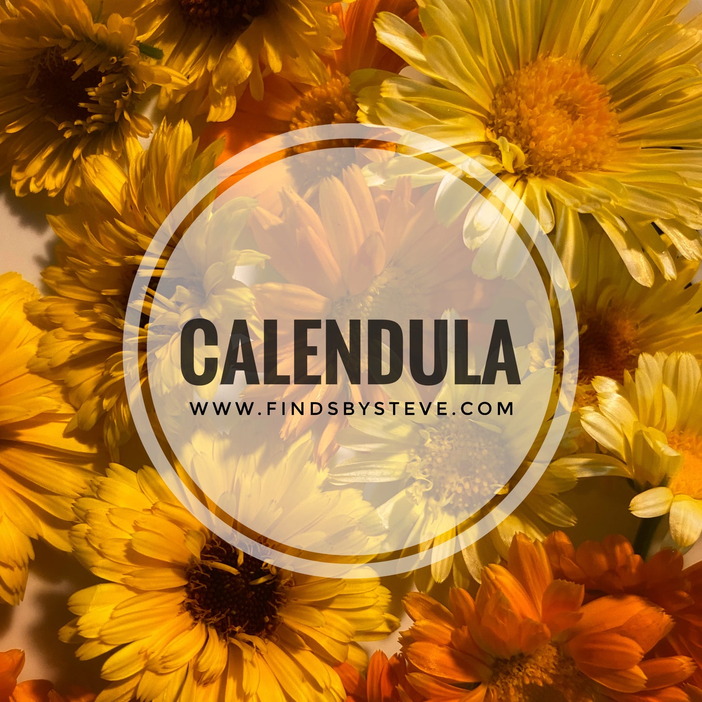 Calendula Heirloom Mix