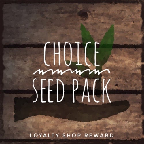 (20) You Choose Seed Packet - Loyalty Reward