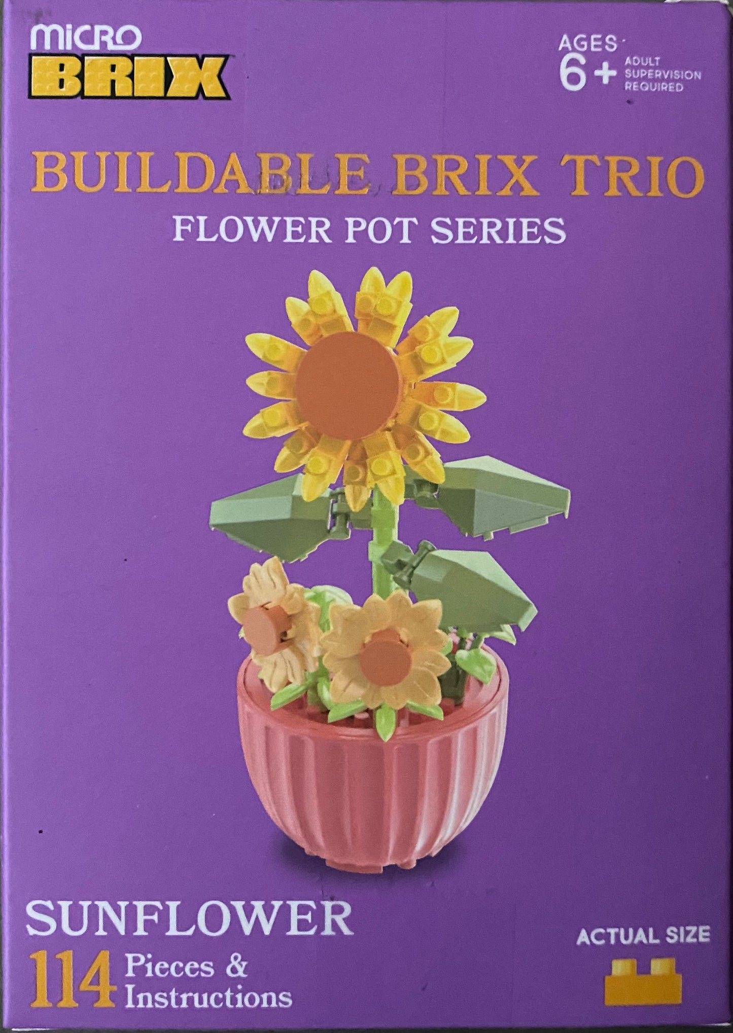 Buildable Succulents / Plants