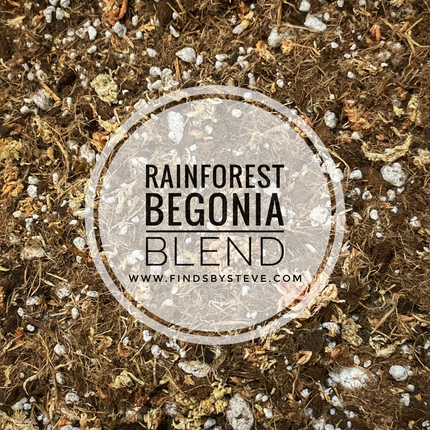Steve’s Rainforest Begonia Blend