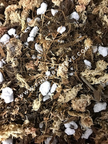 Steve’s Aroid Soil