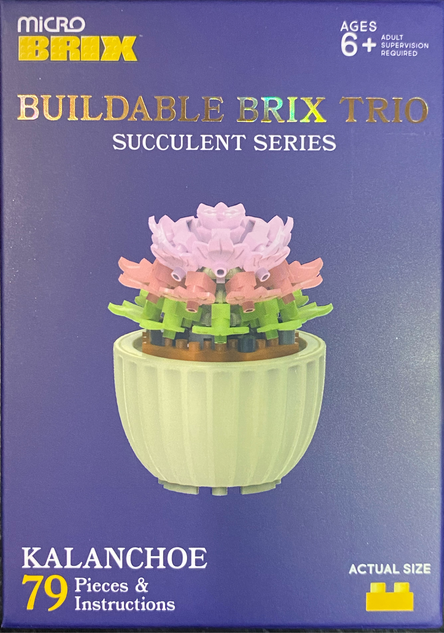 Buildable Succulents / Plants