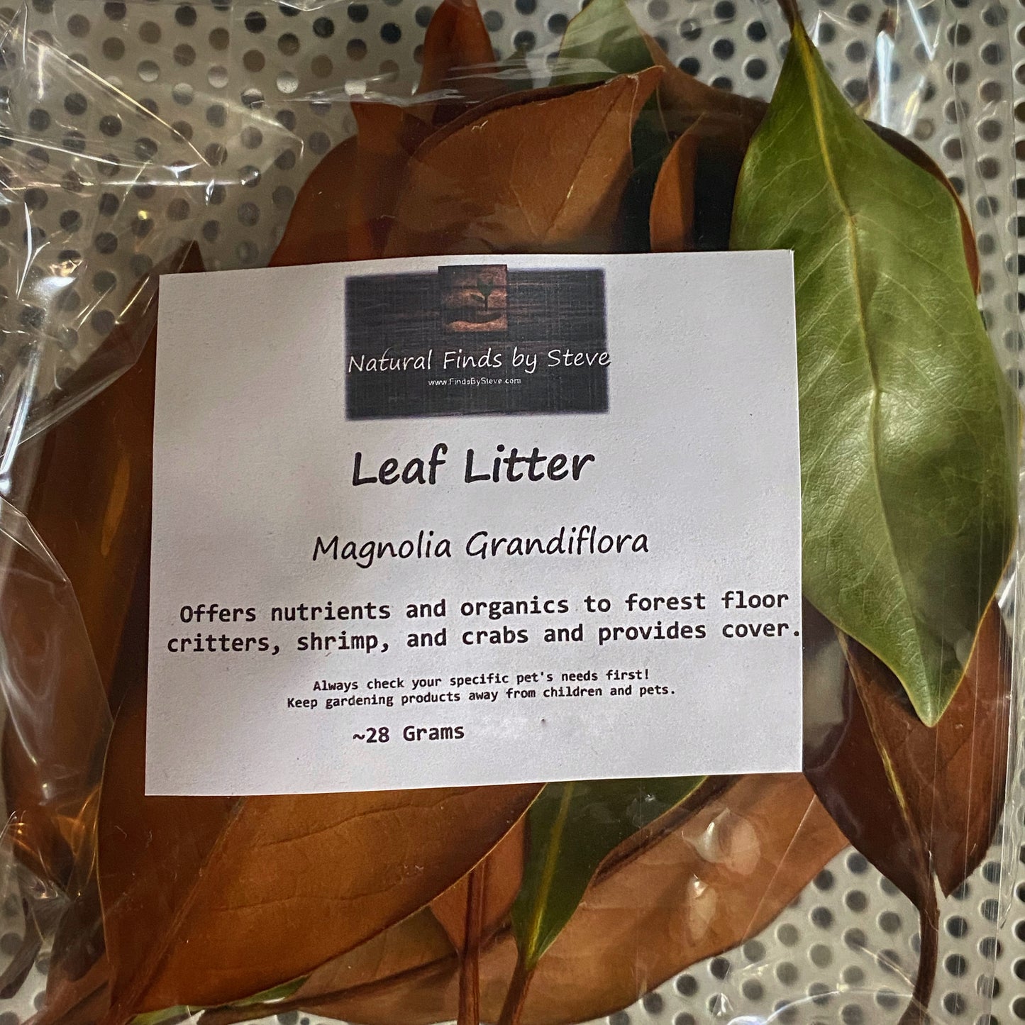 Leaf Litter - Southern Magnolia (Grandiflora)