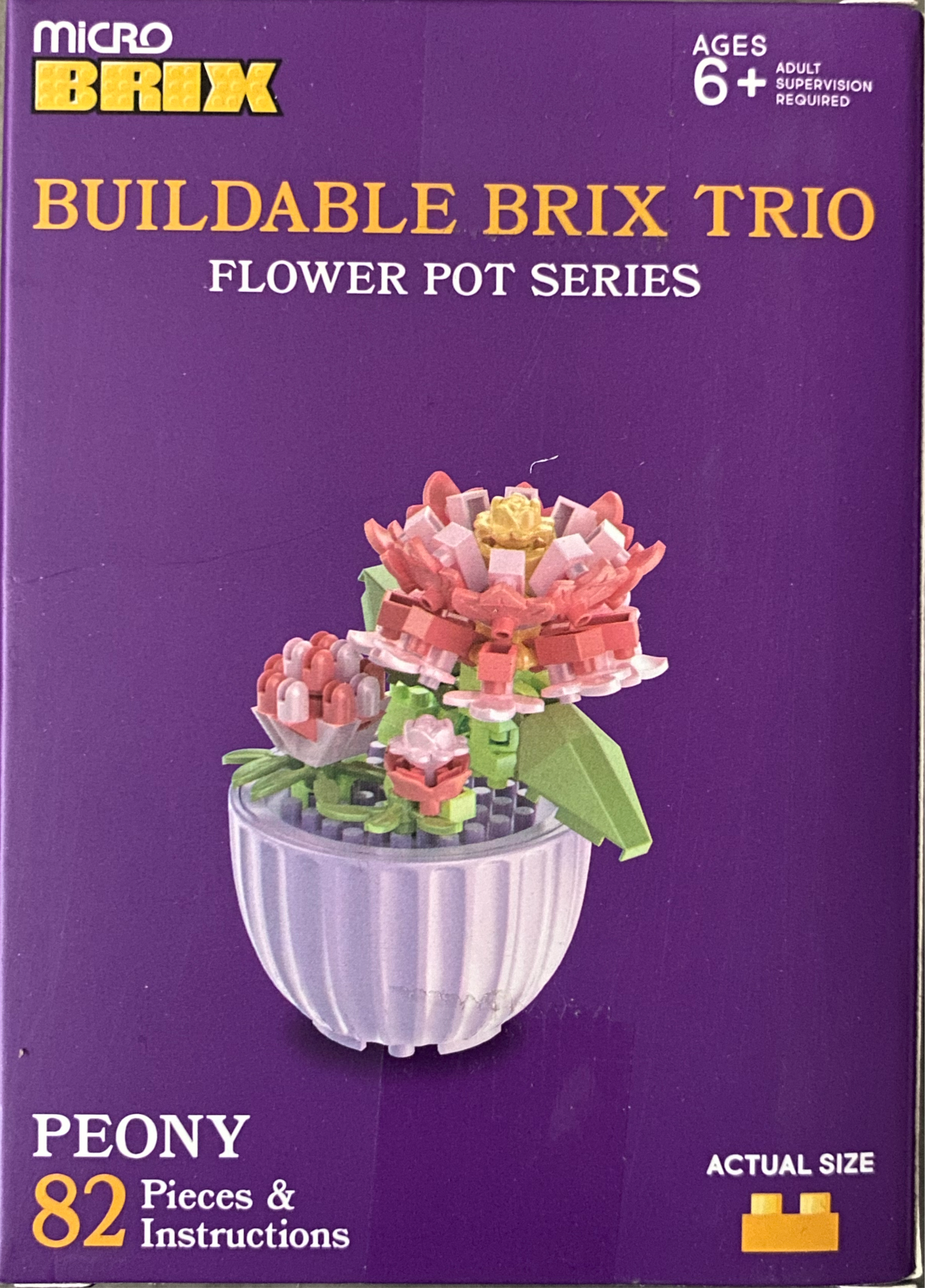 Buildable Succulents / Plants