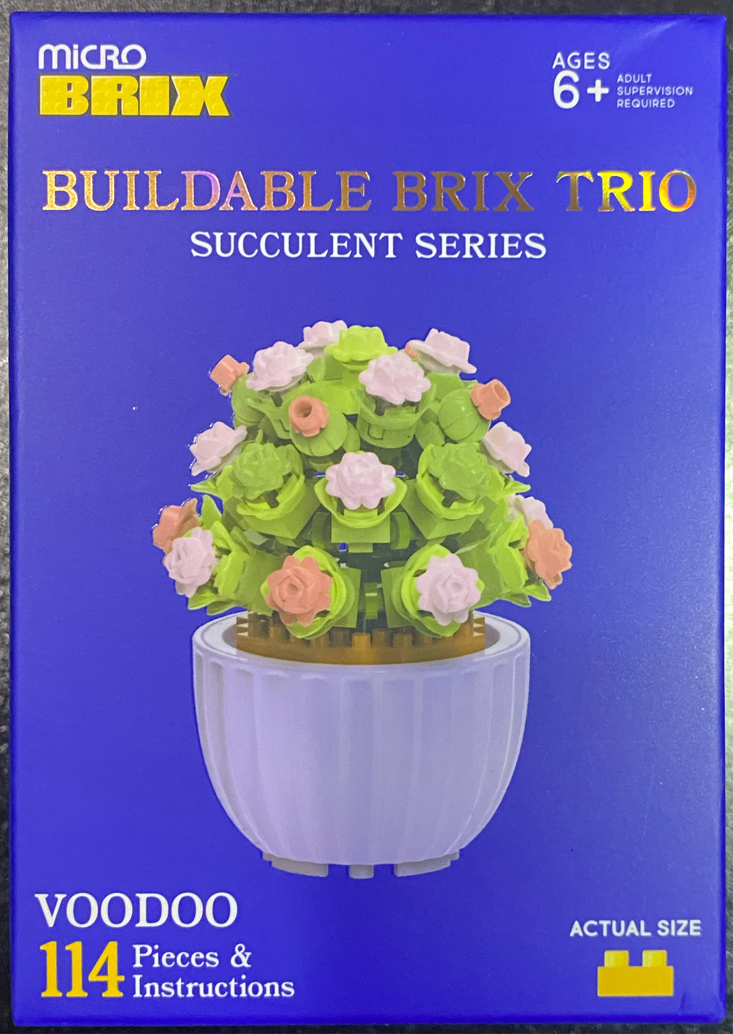Buildable Succulents / Plants