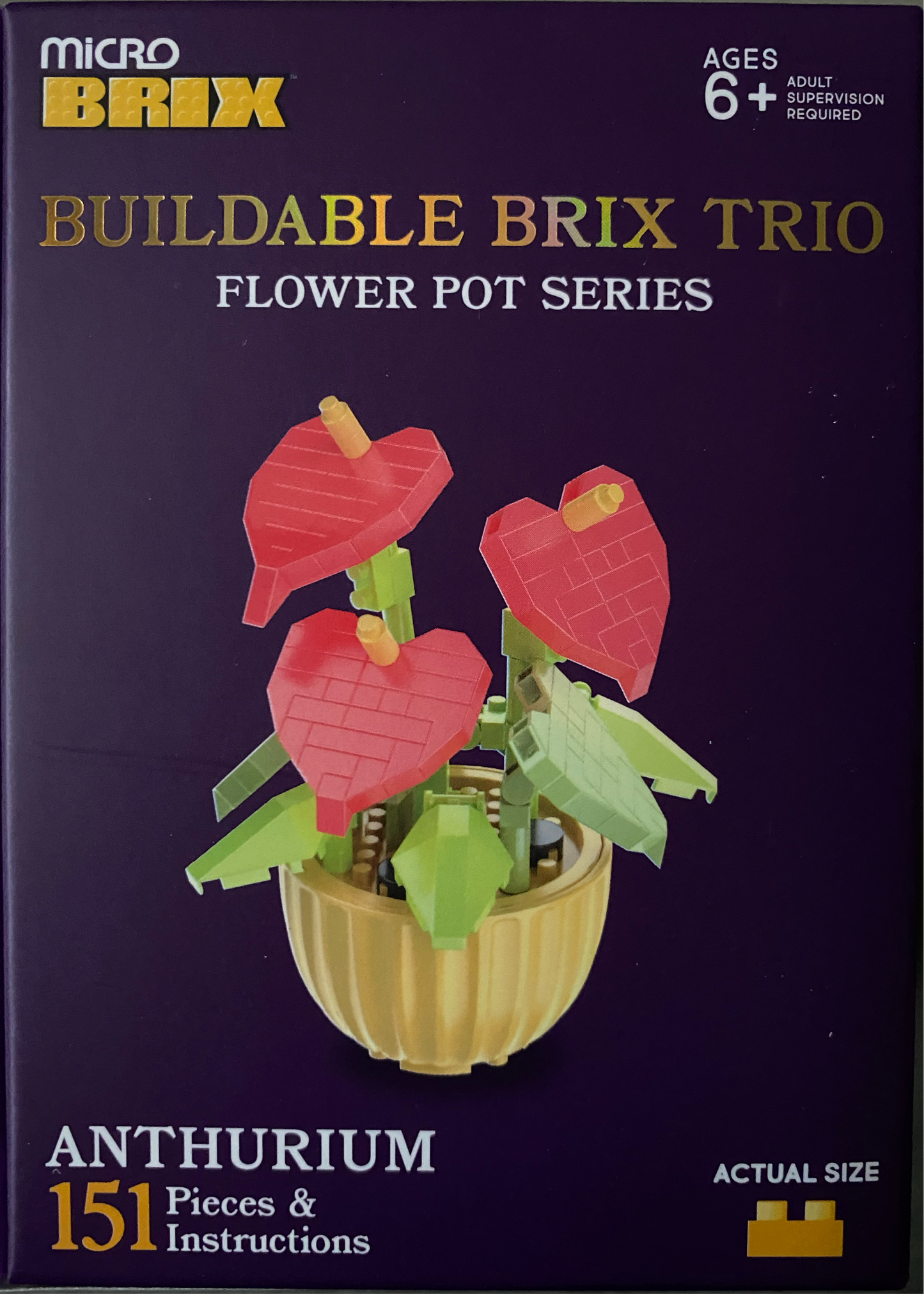 Buildable Succulents / Plants