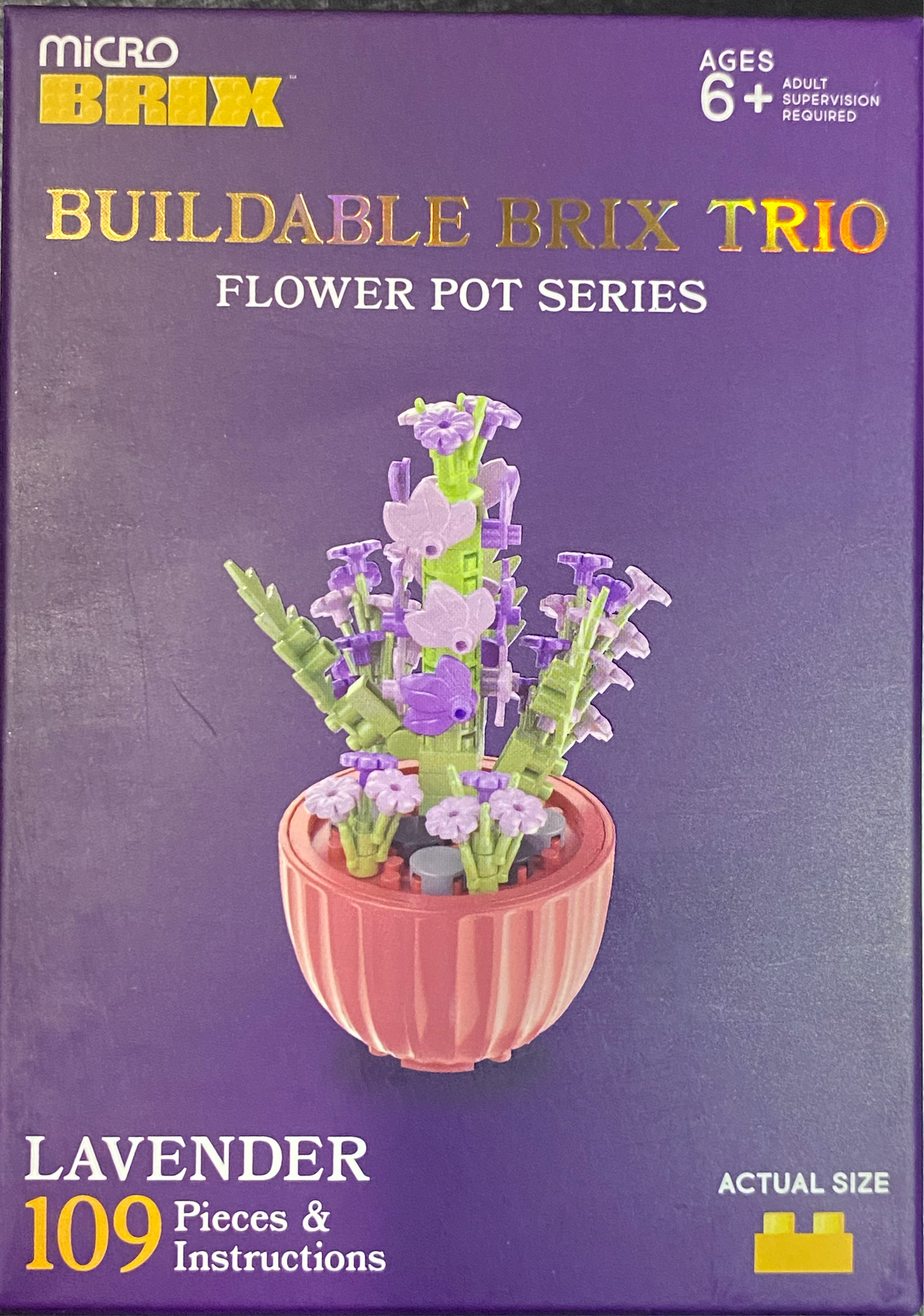 Buildable Succulents / Plants