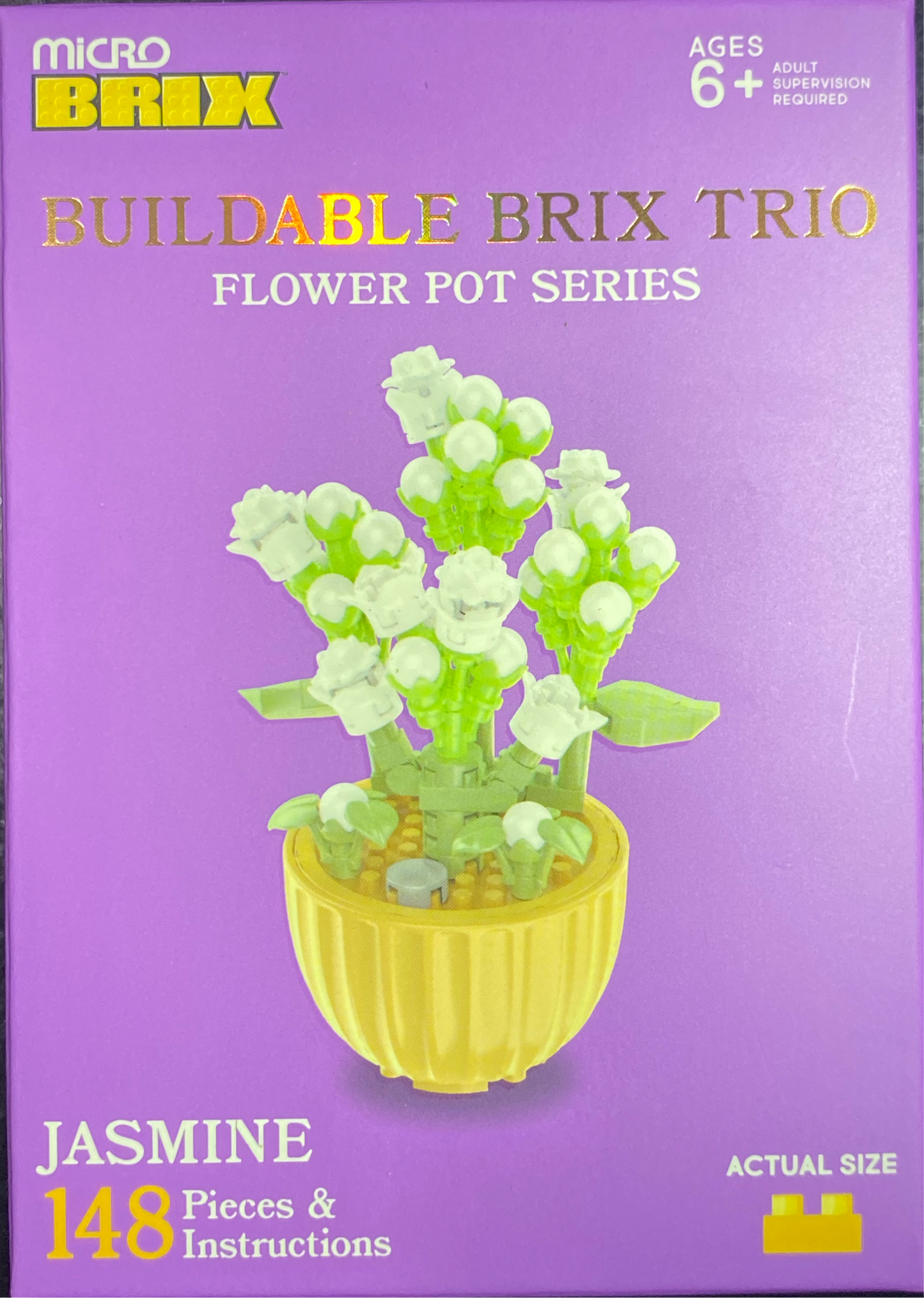 Buildable Succulents / Plants