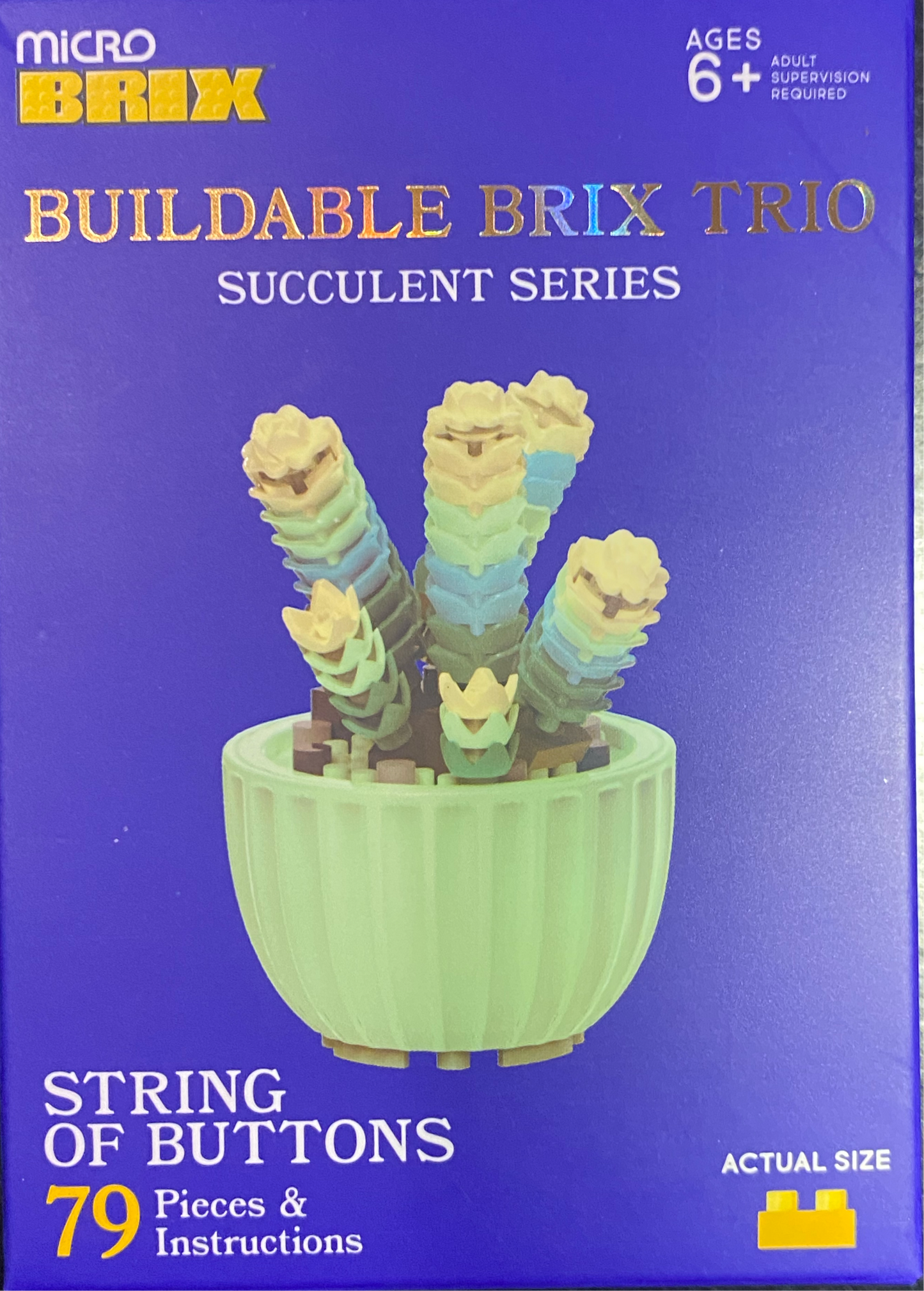 Buildable Succulents / Plants