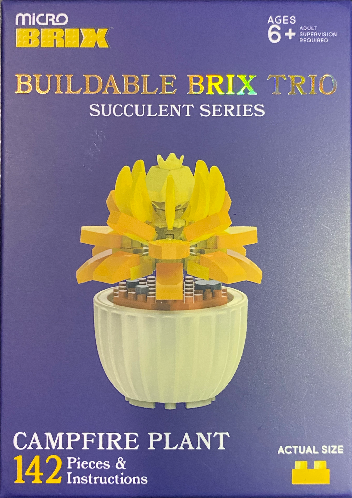 Buildable Succulents / Plants