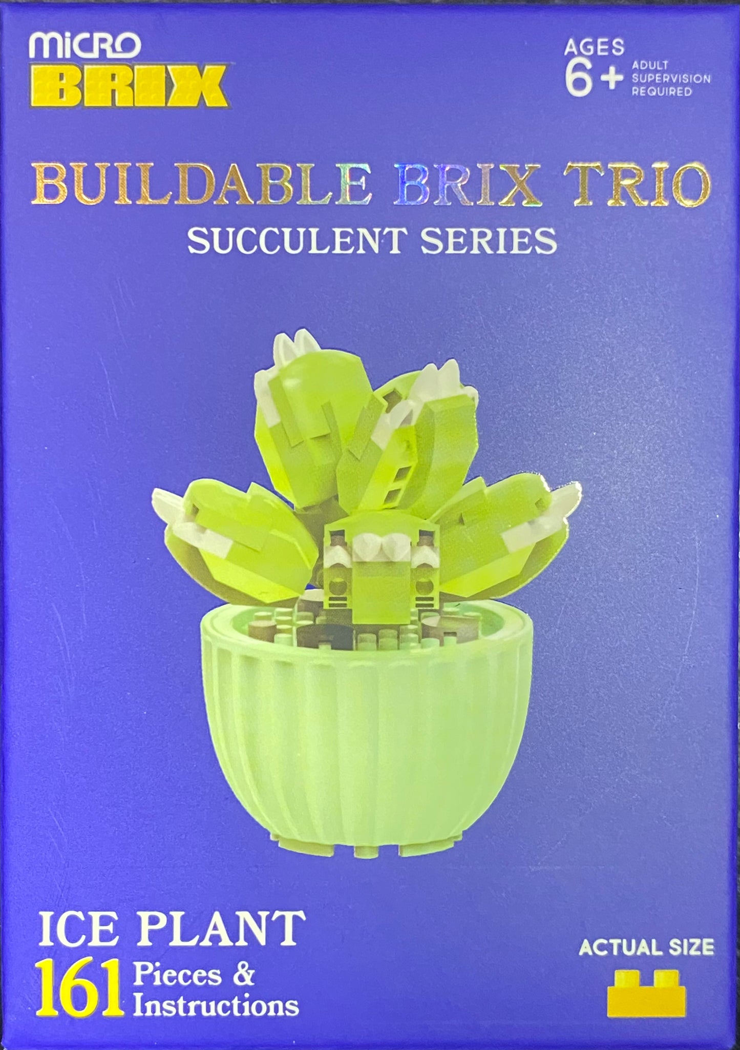 Buildable Succulents / Plants