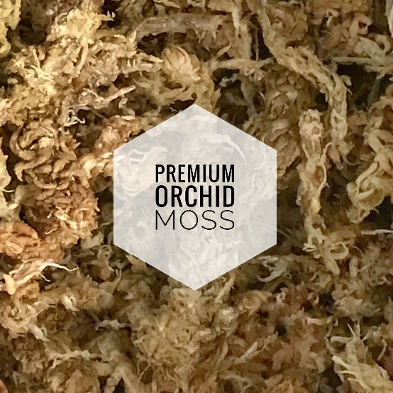 Premium Orchid Moss