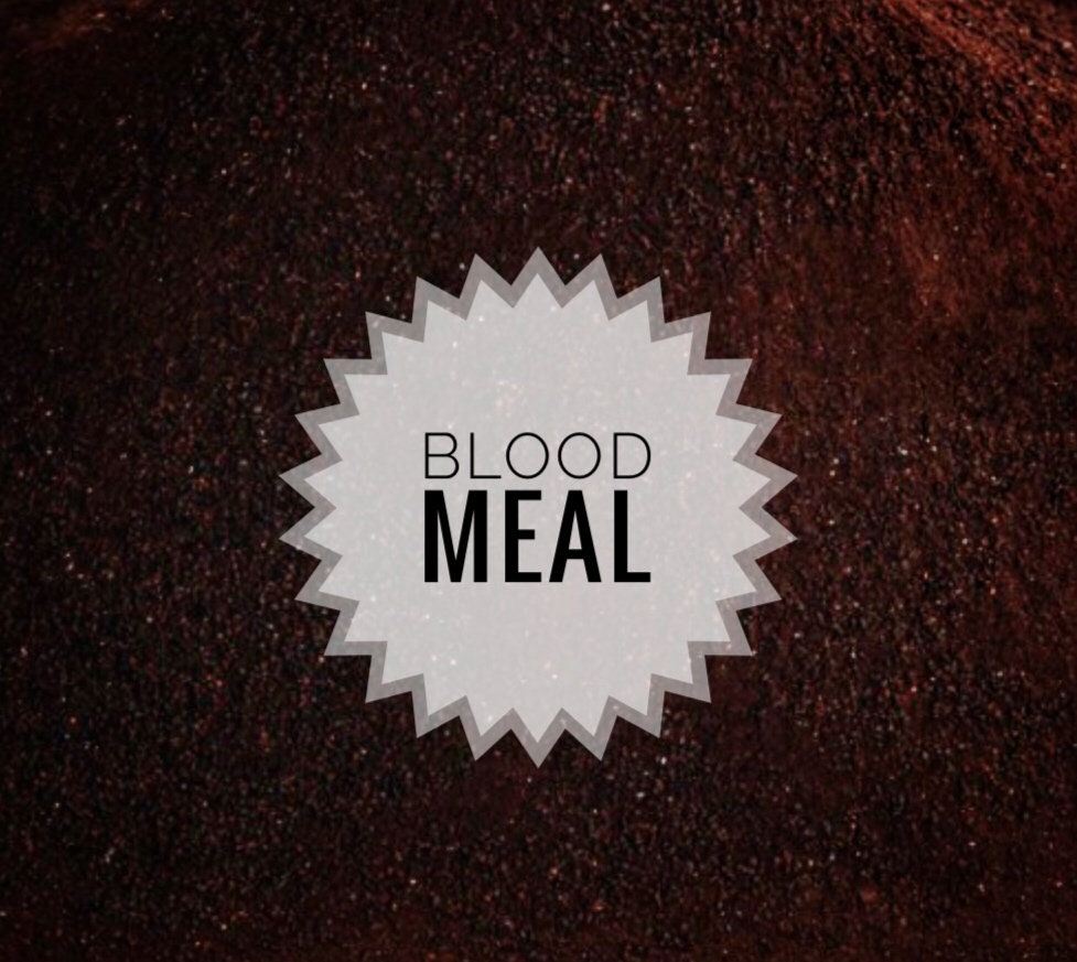 Blood Meal