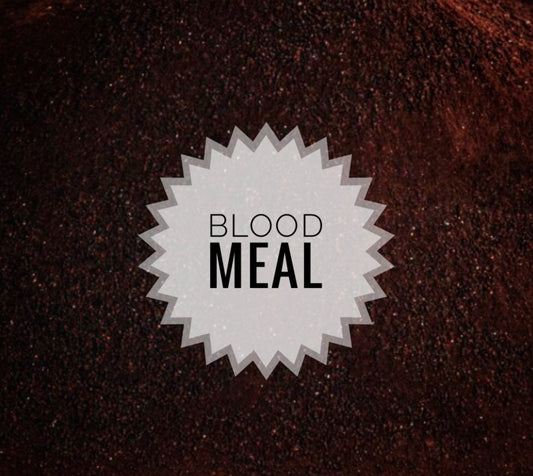 Blood Meal