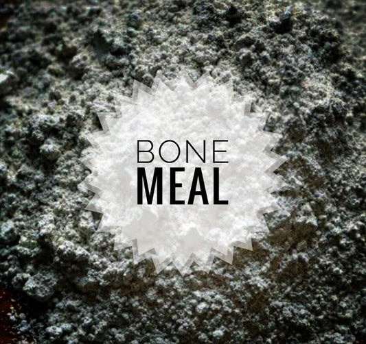 Bone Meal - Source of Phosphorous for Flowering Plants