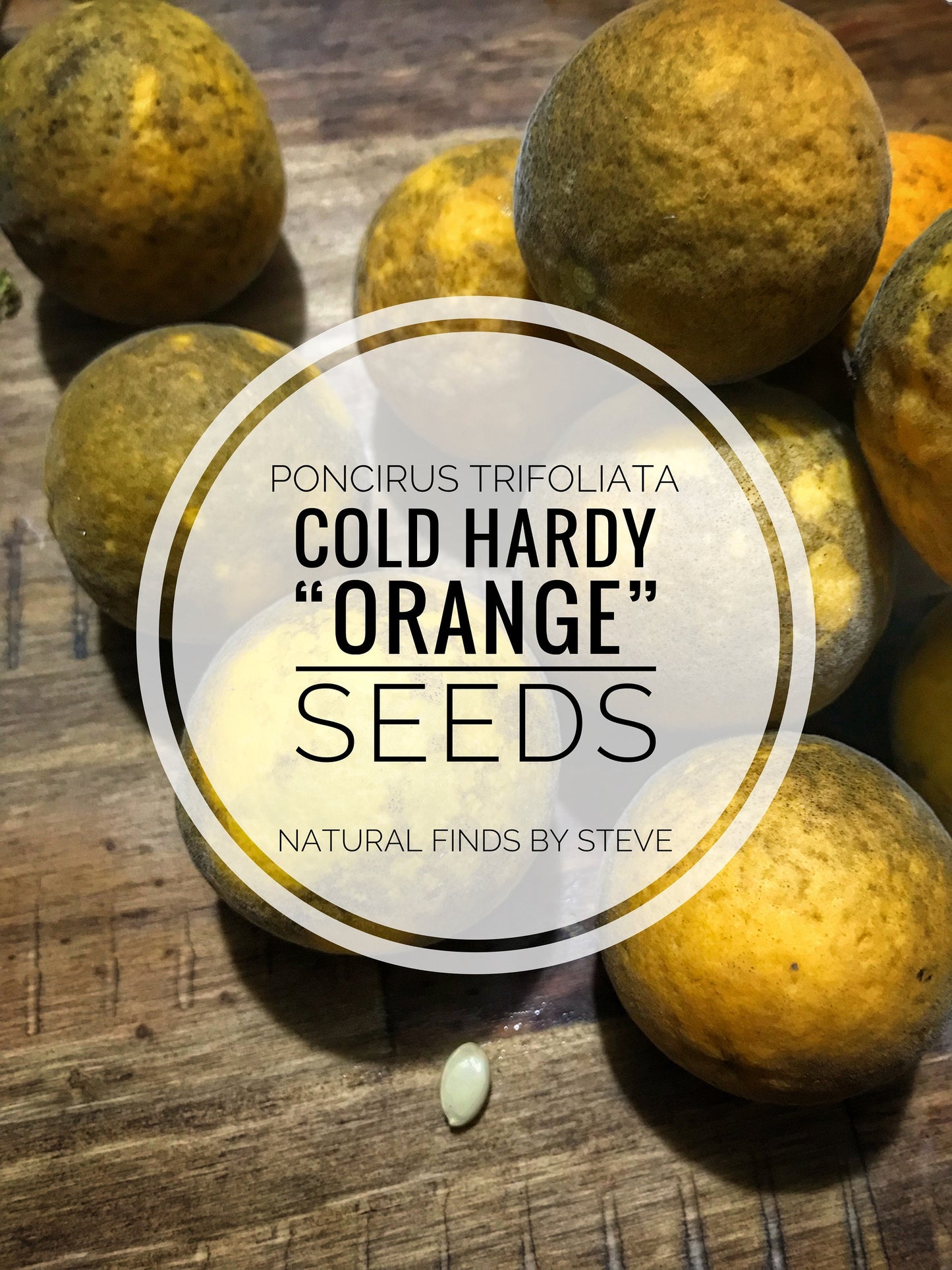 Cold Hardy Orange - Poncirus Trifoliata