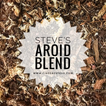 Steve’s Aroid Soil