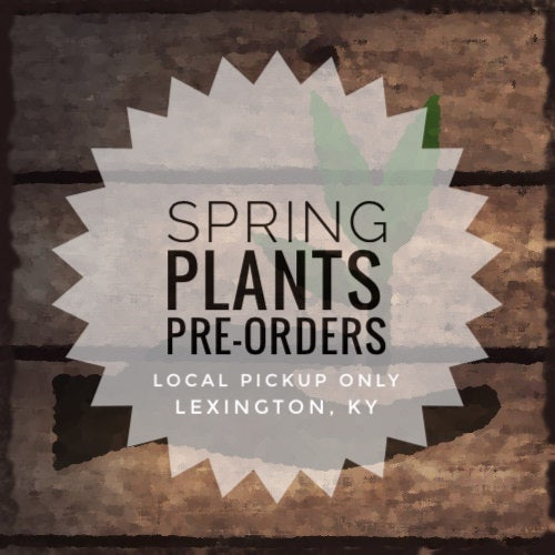 Spring 2023 Plant Pre-Orders & Catalogue
